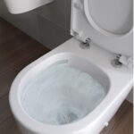 Rimless Wall Hung WC Soft Close Seat