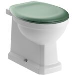 washington btw soft close seat toilet