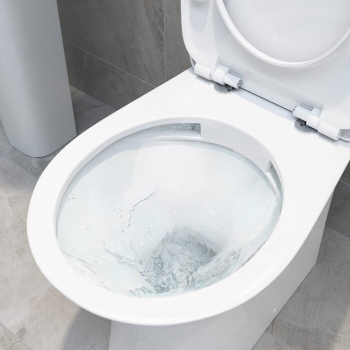 Rimless Close Coupled Open Back WC