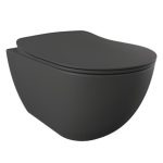 matt-anthracite-combined-bidet