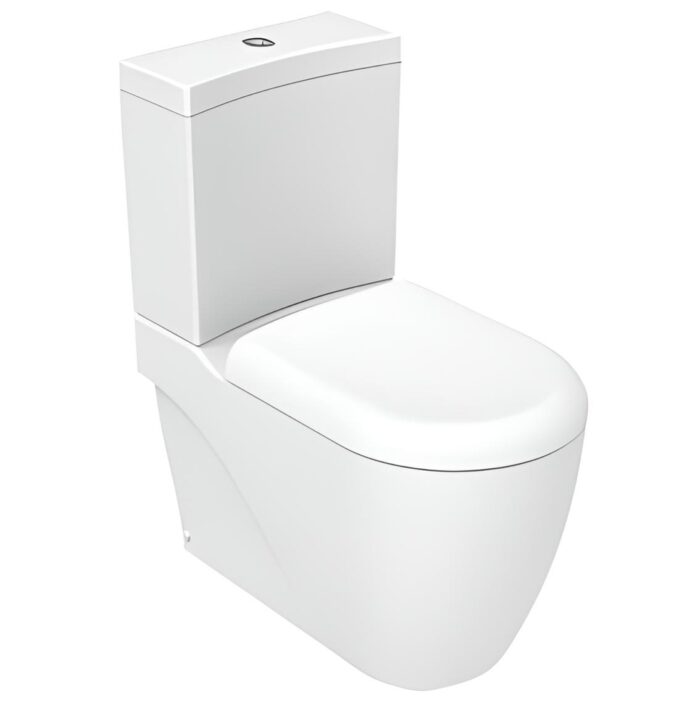 large-bidet-toilet