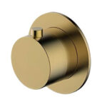 brush-gold-valve