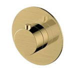 brush-gold-thermostatic-valve